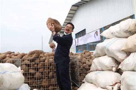 Menteri Pertanian Dorong Industri Pengolahan Porang Tempo Co