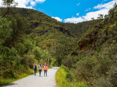 Best Walking Trails in Adelaide | pureSA