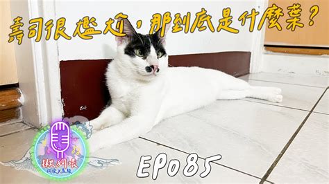 【揪狗喂podcast】ep085｜壽司很尷尬，那到底是什麼葉？ Youtube