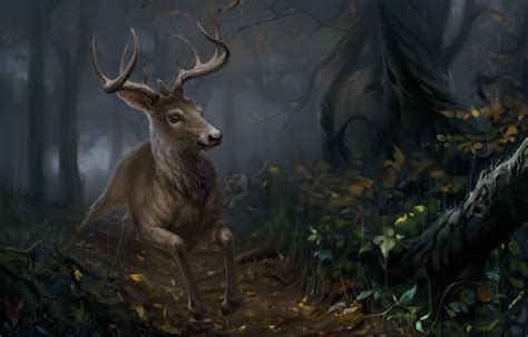 4K, 5K, Deer, Painting Art, Horns, HD Wallpaper | Rare Gallery