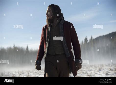 Leonardo Dicaprio The Revenant 2015 Stock Photo Alamy