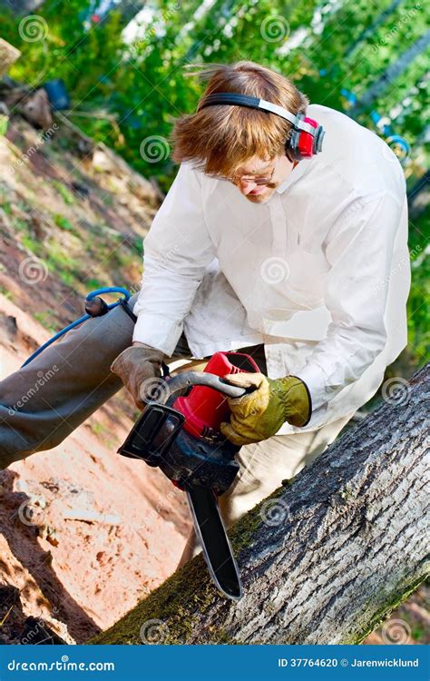 Man Cutting Down A Tree With A Chainsaw Stock Photo Image