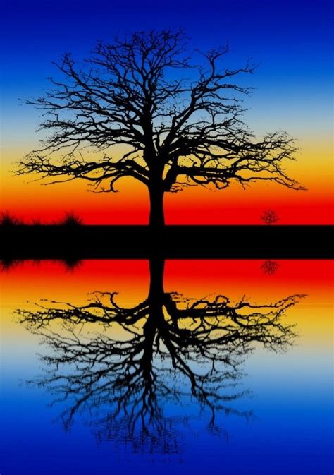 Beautiful Photos Of Water Reflection Beautiful Nature Beautiful