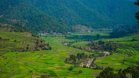 Step Farming In Mountain Village Landscape View Nature Photography