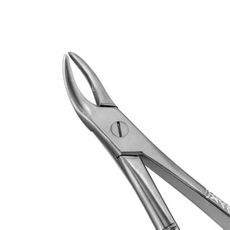 L English Pattern Extraction Forceps Prodentusa