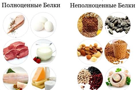 Белок: в каких продуктах содержится больше, список | Спортивное питание ...
