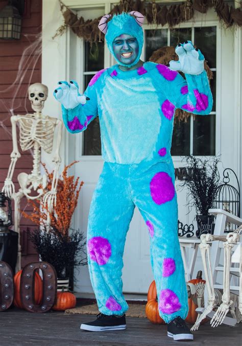 Monsters Inc Sulley Costume For Adults