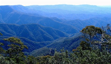 New England National Park and Great Eastern Escarpment | Nature Bound ...