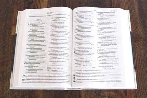 Biblia Del Pescador Nvi Letra Grande Verde Tapa Dura Libreria