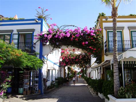 Friday at Puerto Mogán market - Tour2b