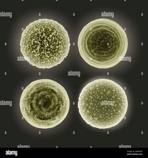 Vector Set Of Abstract Dirty Green Cocci Bacteria Isolated On Dark