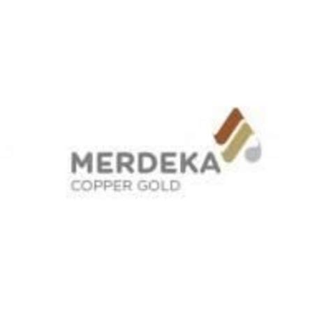 PT Merdeka Copper Gold Tbk Business Chief North America