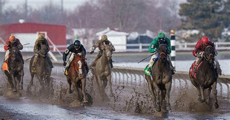 Opening Weekend At Fonner Park Was A Winner Ceo Says