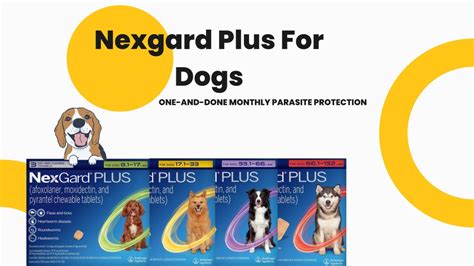 PPT - Nexgard Plus | All-in-One Parasite Protection for Dogs ...