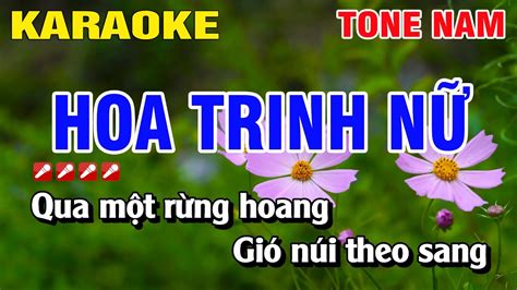 Karaoke Hoa Trinh Nữ Tone Nam Nhạc Sống Nguyễn Linh YouTube