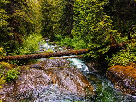 Bedwell Lake Trail, Strathcona Provincial Park: Ultimate Guide ...