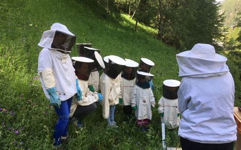 Kg Bienen Gemeinde Randa