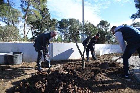 Zadarski Zavr Eni Su Radovi Na Jo Jednom Senzori Kom Dje Jem