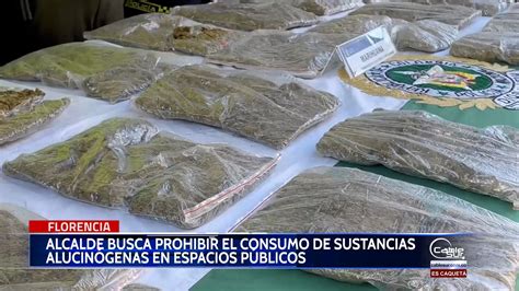 Alcalde Busca Prohibir El Consumo De Sustancias Alucinógenas En