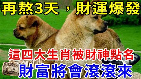 再熬3天，財運爆發！這四大生肖被財神點名，財運之門大開，財源滾滾，富貴難擋 帝王改命學 Youtube