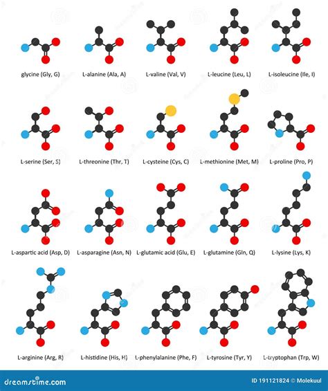 Estructuras Qu Micas De Amino Cidos Glicina Alanina Valina Leucina