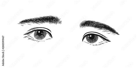 Kid with a little shy and sad of eye. Eyes emotions, sketch vector graphics monochrome drawing ...