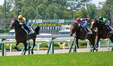 ＜函館5r新馬戦＞逃げ切って勝ったリューベック＝左（撮影・千葉茂） ― スポニチ Sponichi Annex ギャンブル