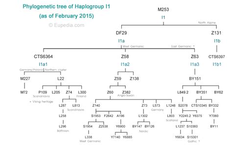 Call Me Ishmael: The I-M253 Y-Chromosome Haplogroup