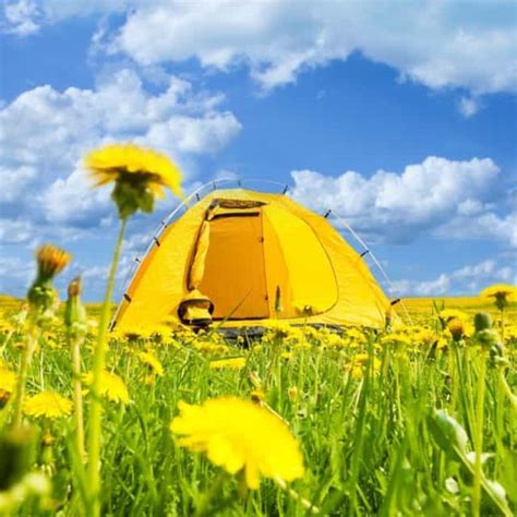 Alberta Crown Land Camping: A Beginner's Guide 2021 - Road Trip Alberta