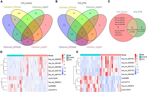 Frontiers Machine Learning Based Identification Of The Novel Circrnas