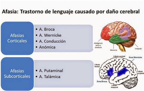 Afasias Afasias y Trastornos de Lenguaje Psicopatología del