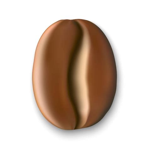 Premium Vector Realistic Coffee Bean Vector