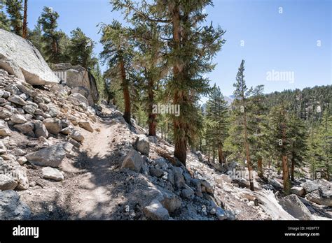 On The John Muir Trail Sequoia National Park California United