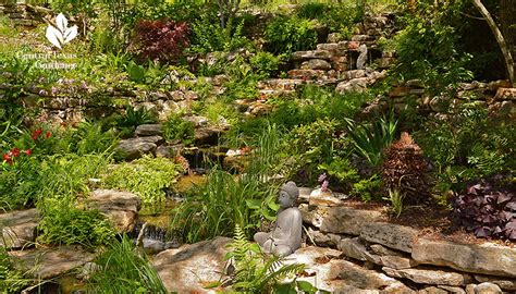 Dry Creek And Ravine Waterfall Design Sedge Lawn Wimberley Gardens