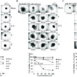 The Cytotoxic Effect Of Compounds On The Model Of D A Sk Mel