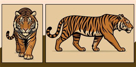 Tiger front and side view cartoon illustration 59696753 Vector Art at Vecteezy