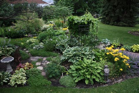 23 Fern Garden Ideas You Should Check | SharonSable