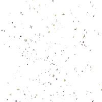 Confetti Gif Transparent