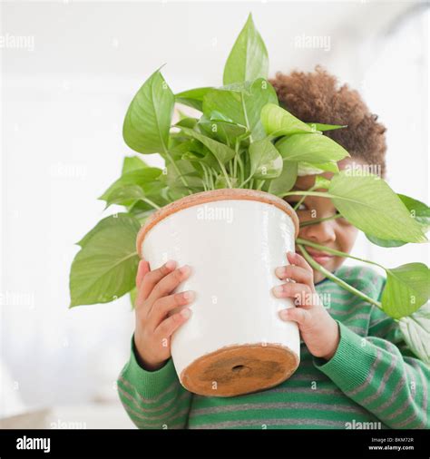 Black boy carrying potted plant Stock Photo - Alamy