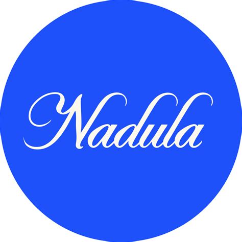 Nadula 13x4 Pre Everything Water Wave Natural Black With Caramel Blonde Highlights Put On And