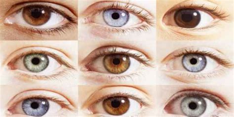 The Rarest Eyes Color In The World Guide Eye Color Chart Eye Color