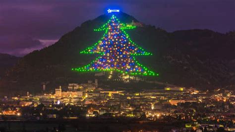 Tutto Chiuso Ma Non L Albero Di Natale Pi Grande Del Mondo Ecco Come