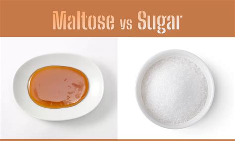 Maltose vs Sugar: Which is Better? - The Coconut Mama