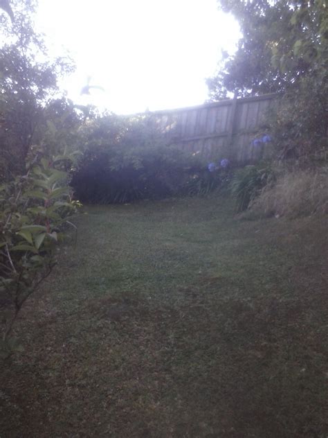 The Wingate Club Auckland S Best Gay Men S Sauna Spa Steam Swimming Bathhouse For Naked