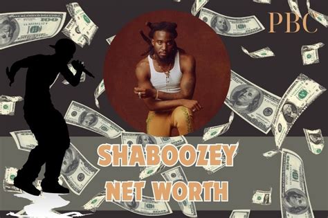 Shaboozey Net Worth 2024: Career, Wealth, And Financial Success