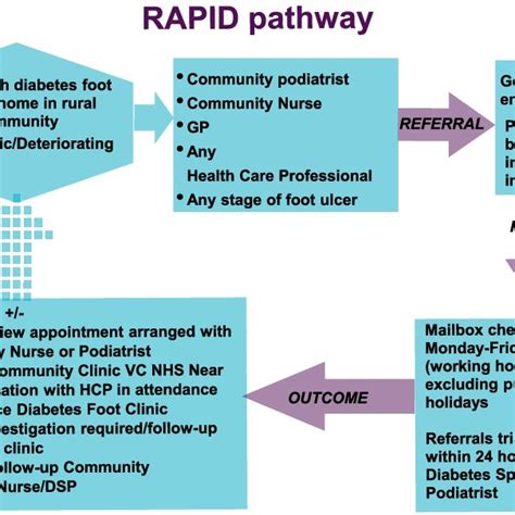 Rapid Pathway Process Flow For Community Patient Referral And Triage Download Scientific