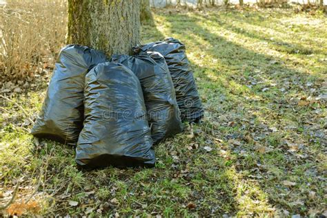 Many Orange Garbage Bags At Curb Stock Image Image Of Orange Clean