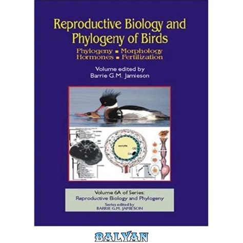 خرید و قیمت دانلود کتاب Reproductive Biology And Phylogeny Of Birds