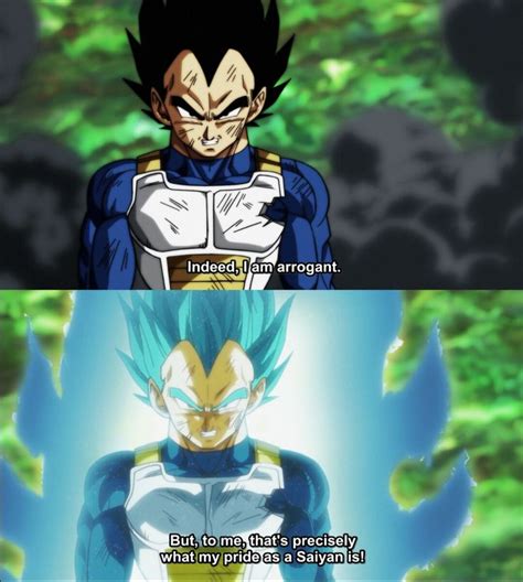 Vegeta Quotes About Pride