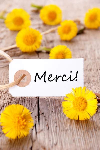 Merci En Français Images Libres De Droit Photos De Merci En Français